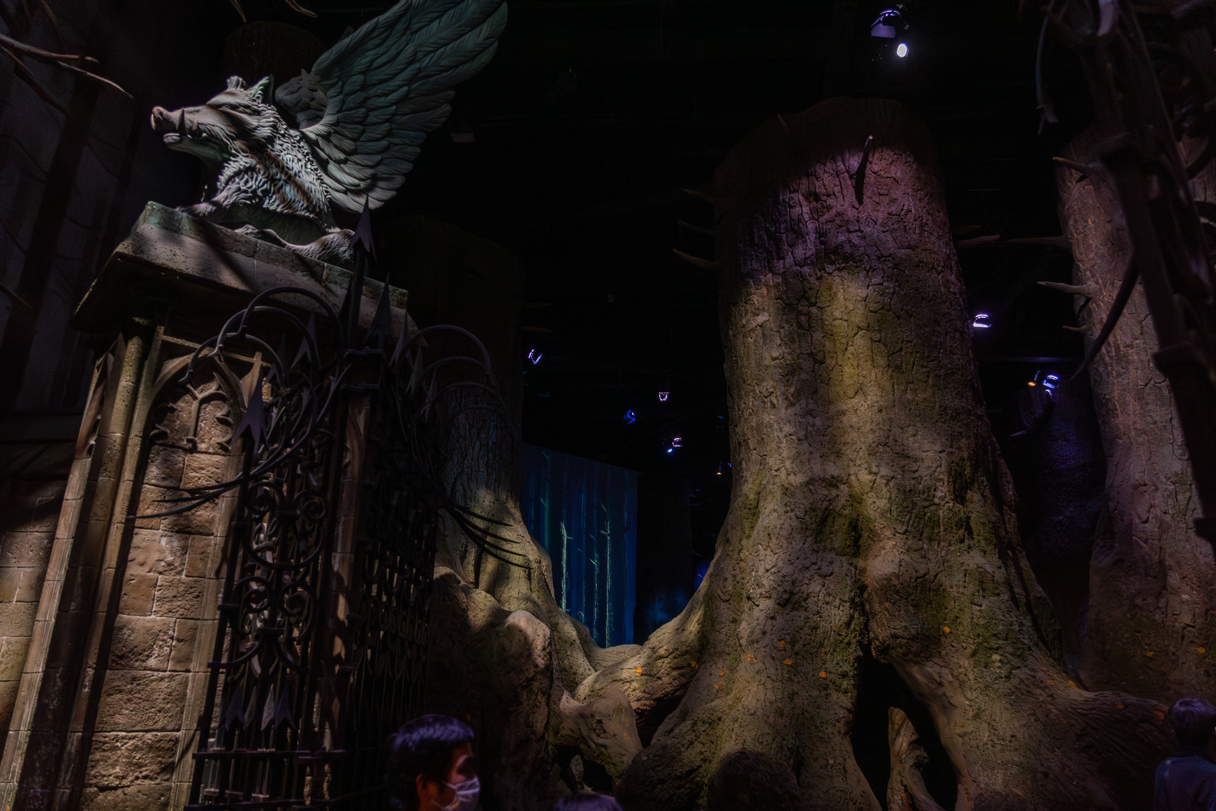 Hogwarts Bridge Portraits, Diagon Alley Wand Shop, Castle Details