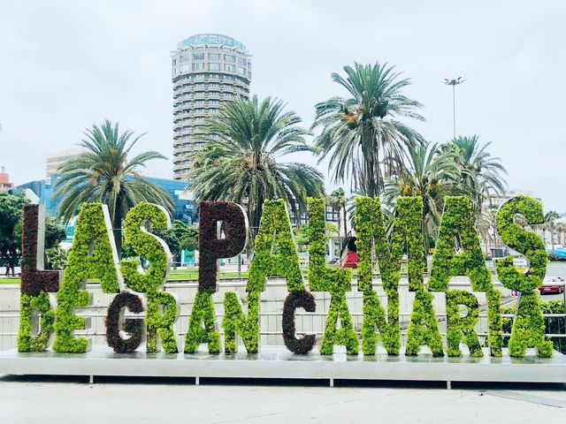 Discover the Spanish Canary Islands🏝️ 