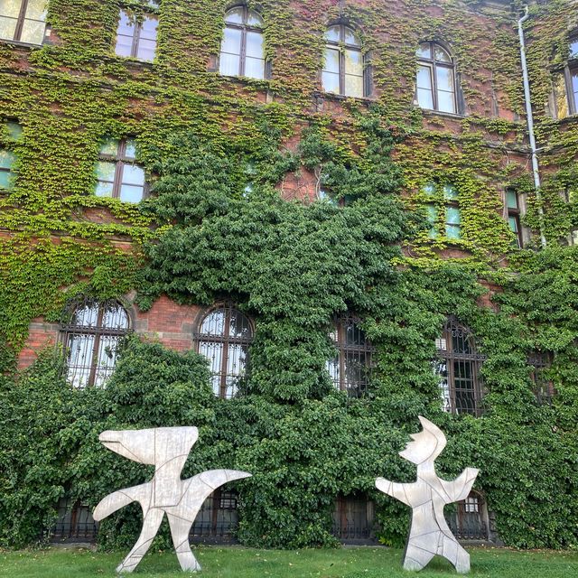🇵🇱 National Museum in Wrocław 🏛