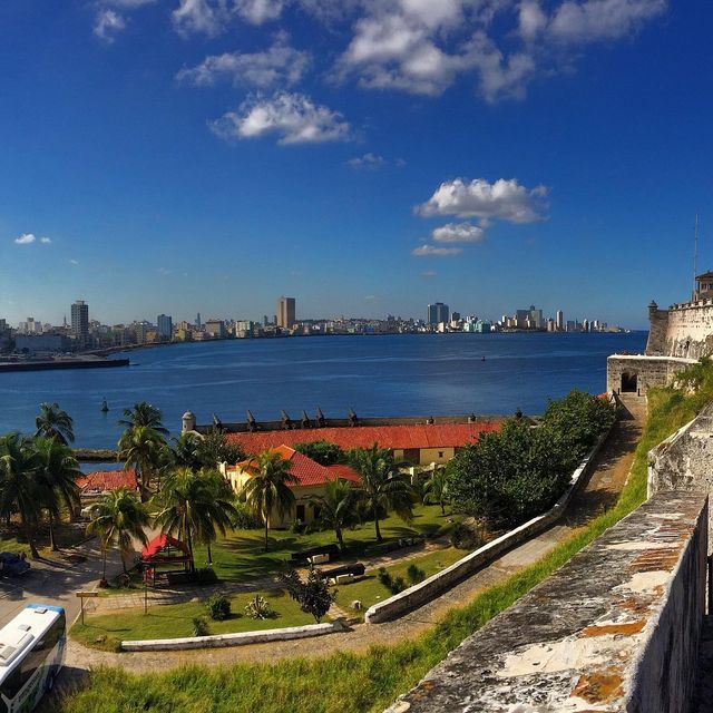 The Rhythmic Soul of Havana's Old Town