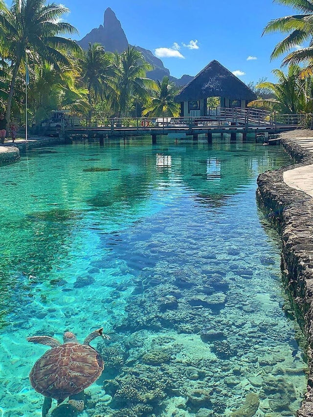 Bora Bora: Jewel of the Pacific