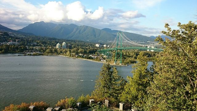 Vibrant Vancouver 🌲