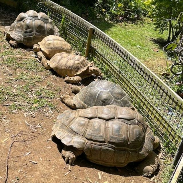 🐤東南植物樂園🦫日本最大的戶外植物園之一🌺