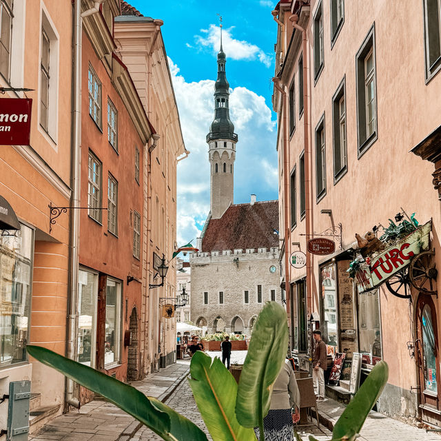 Timeless Charm: Exploring Tallinn's Old Town