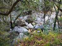 Patsos Gorge ๐ฌ๐ท