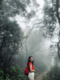 Matheran: 인도의 상징적인 언덕 여행지 🌄