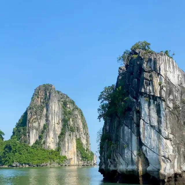 A Perfect Getaway for Nature Lovers 🌿