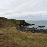 The Giant's Causeway 🪨