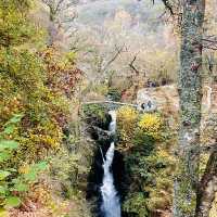 National Gem of Ullswater: Aira Force Adventure