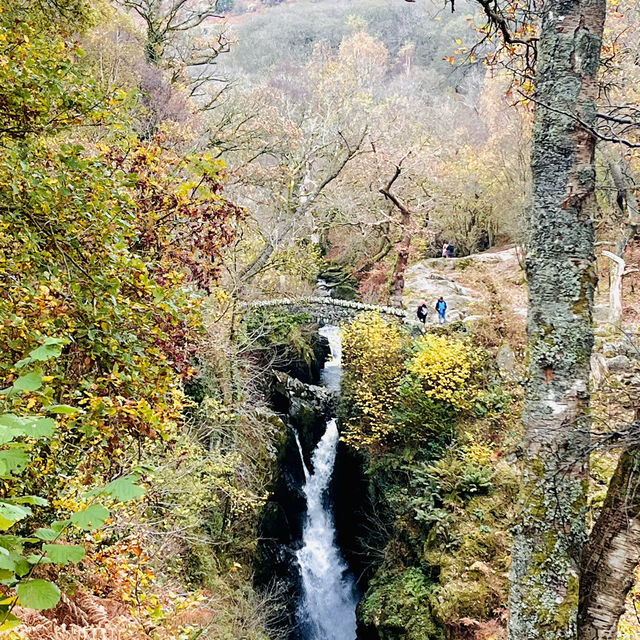 National Gem of Ullswater: Aira Force Adventure