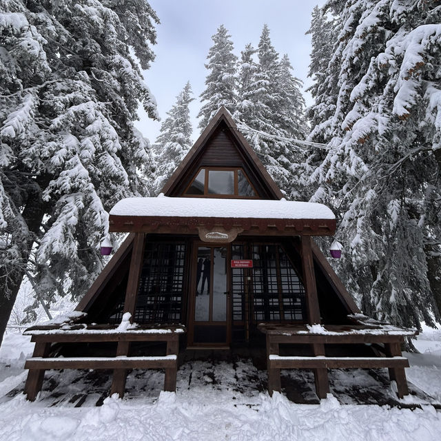 Bulgaria-Sofia-Vitosha Mountain 