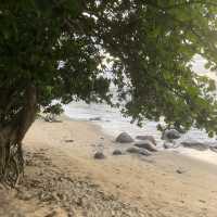 Unwind at the Idyllic Ngoye Beach in Kribi 🌴🌊