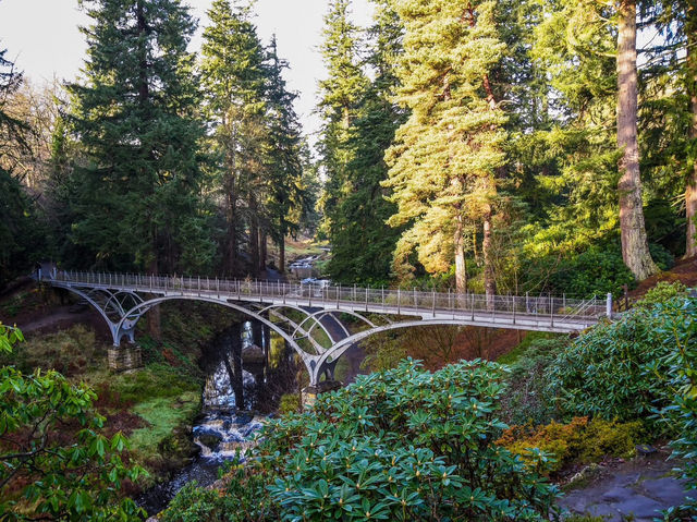 Cragside: A National Trust Marvel in Northumberland ✨🌼