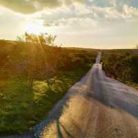 A Walk in the Wild: Dartmoor