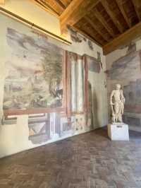 Exquisite Exhibition Rooms