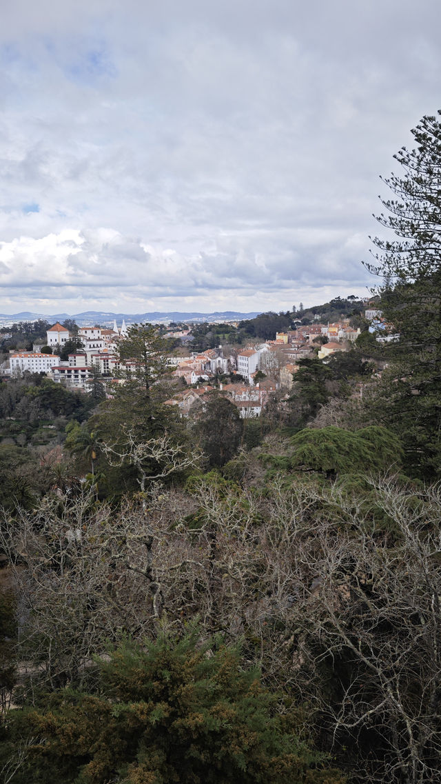 🌲 Escape to Sintra’s Wild Side