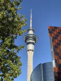 A 360 Ariel View Of Auckland, The Incredible Sky Tower 