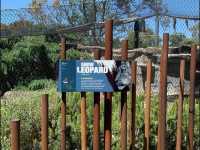 The Melbourne Zoo