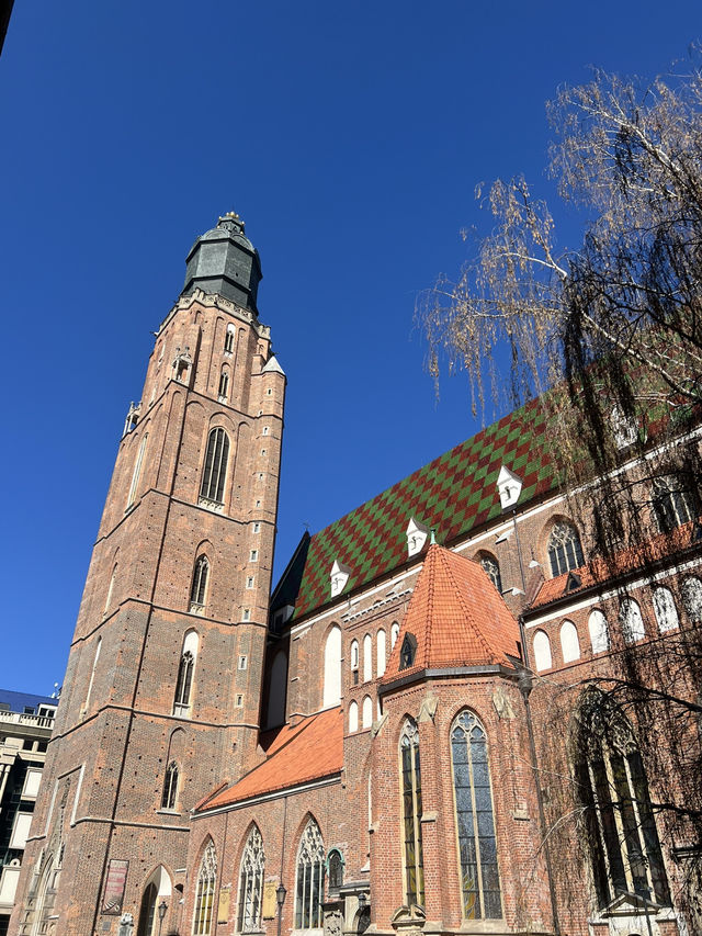 🇵🇱 波蘭樂斯拉夫（Wrocław）🌟