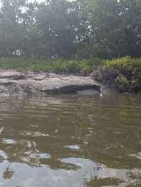 Kayaking with crocodiles in Holbox