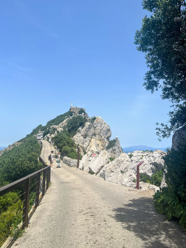 Monkeying around on Gibraltar🇬🇮 