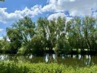 Blueway & Marlfield Lake