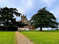 🏰✨ A Must for Downton Abbey Fans! 🎩🌸
