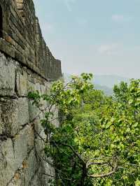 🌄 The Grandeur of the Great Wall of China: Mutianyu (Mutianyu) 🏯 