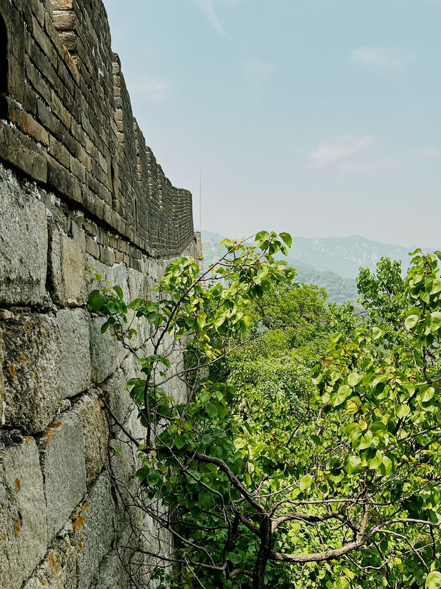 🌄 The Grandeur of the Great Wall of China: Mutianyu (Mutianyu) 🏯 