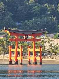 ⛩️ Miyajima Island Day Trip: Floating Torii Gate & Local Culture