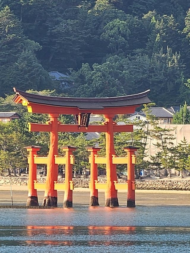 ⛩️ Miyajima Island Day Trip: Floating Torii Gate & Local Culture