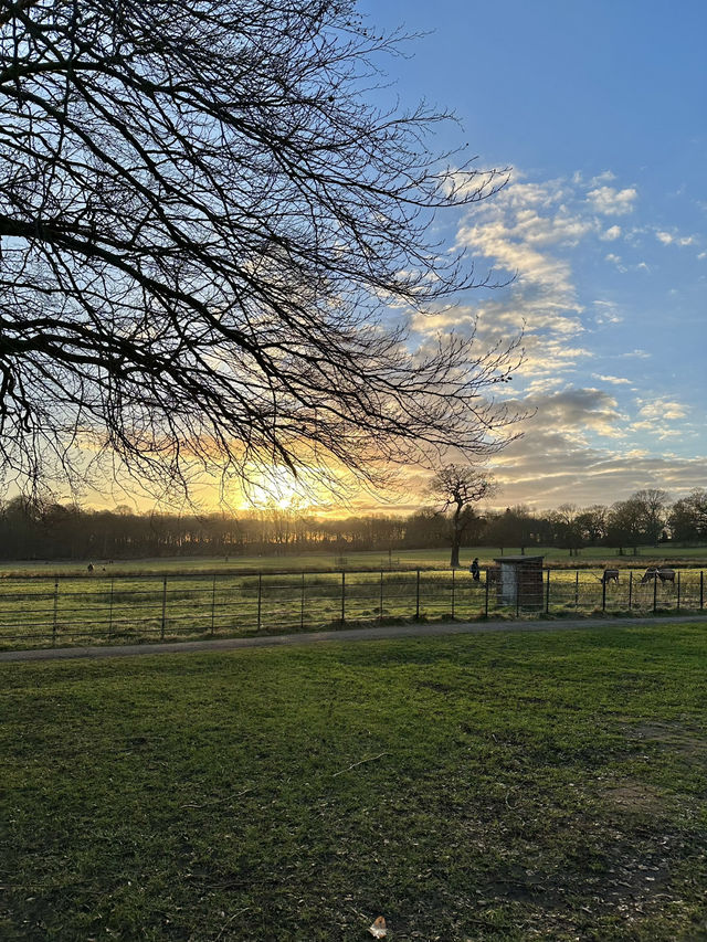 📍Nottingham, United Kingdom 🇬🇧 
