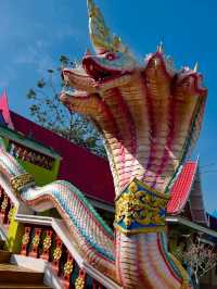 🐊 Wat Paichorake – The Crocodile Temple of Wonder