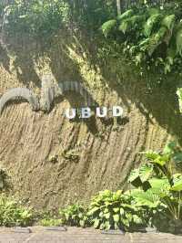 Ubud core ✨