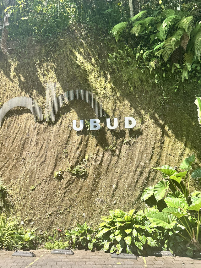 Ubud core ✨