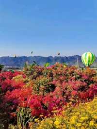 ⛰️ Wanfenglin Scenic Area – The Sea of Ten Thousand Peaks in Guizhou