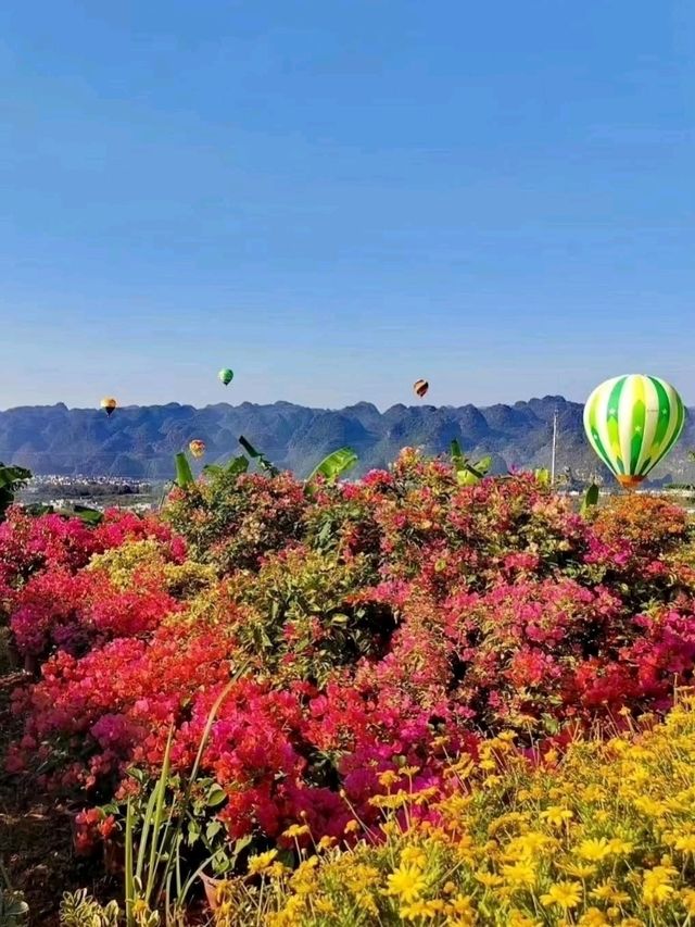 ⛰️ Wanfenglin Scenic Area – The Sea of Ten Thousand Peaks in Guizhou