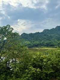 🌿 Sleeping Under the Stars – Camping Where the Wild Things Are