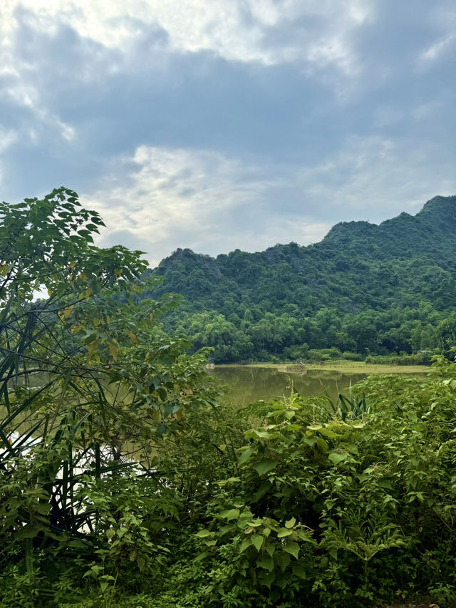 🌿 Sleeping Under the Stars – Camping Where the Wild Things Are