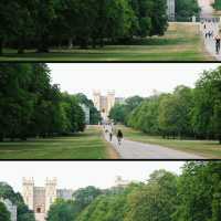 Windsor Walk: A Royal Stroll Through History & Charm