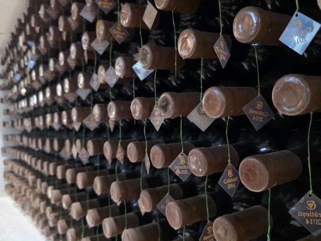 Cricova Winery - Moldova