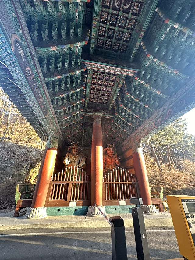 Get Ready to discover the hidden wonders of Daegu!
