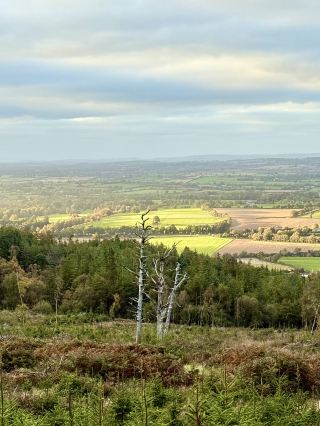 Exploring Clonmel on Foot