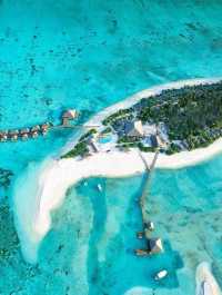 Cocoon Maldives — Where Modern Luxury Meets Barefoot Paradise