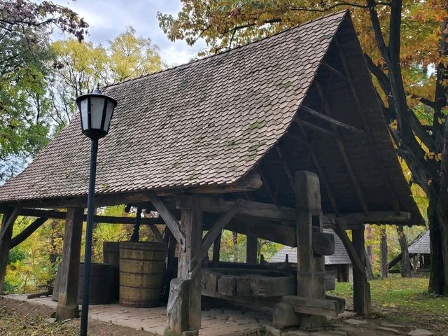 Dimitrie Gusti National Village Museum: Romania's Rural Heritage Alive