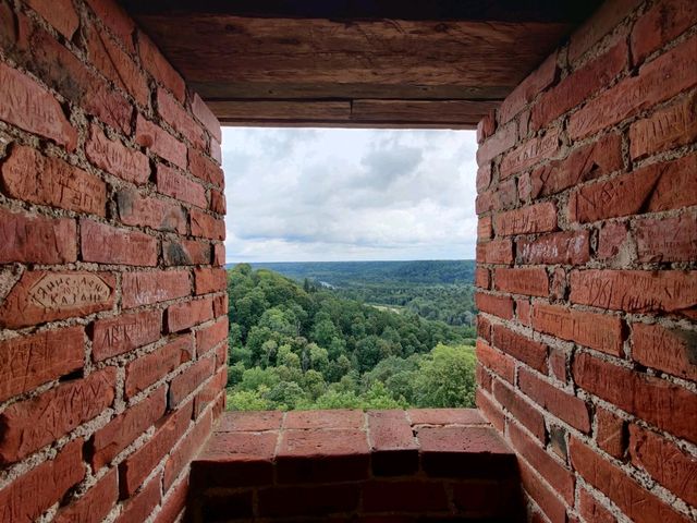 Castle Walk Magic✨