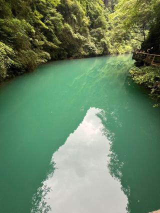 Zhangjiajie Grand Canyon: A Must-See Adventure for Every Traveler