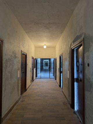 Follow Trip.com's recommendations for an in-depth exploration of the Dachau concentration camp ruins—a journey to experience history.