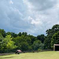 Maymont Park, Gem of Richmond