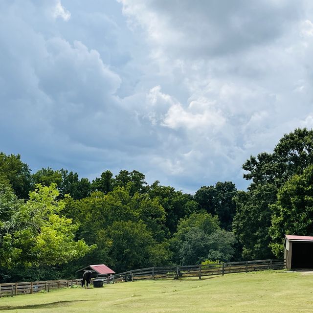 Maymont Park, Gem of Richmond